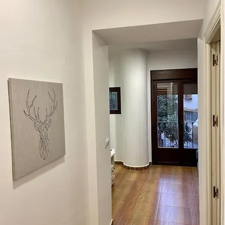 Espectacular Loft En El Centro Con Vistas * Séville